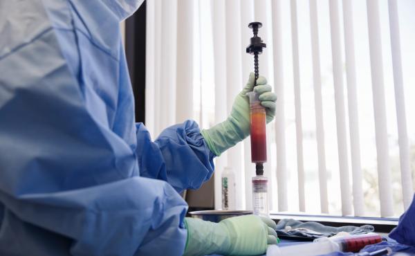 Adult stem cells can be extracted from human fat. Adult stem cells can be extracted from human fat.