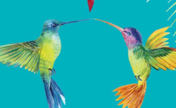 Island Affair, by Priscilla Oliveras Island Affair, by Priscilla Oliveras