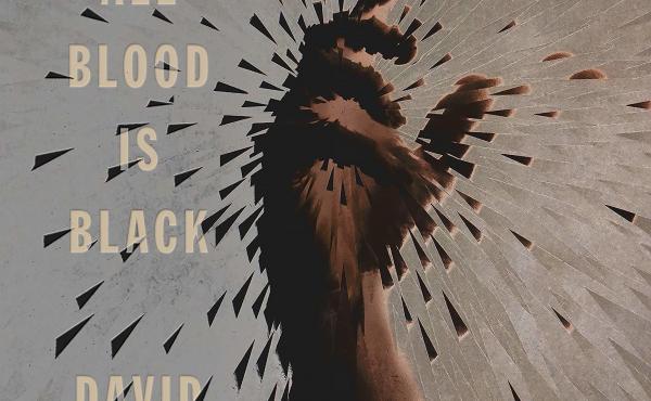 At Night All Blood is Black, by David Diop At Night All Blood is Black, by David Diop
