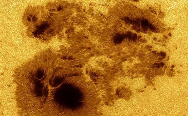 Image of sunspot AR 2192 Image of sunspot AR 2192