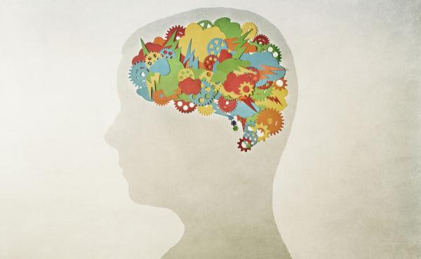 The year in brain research. The year in brain research.