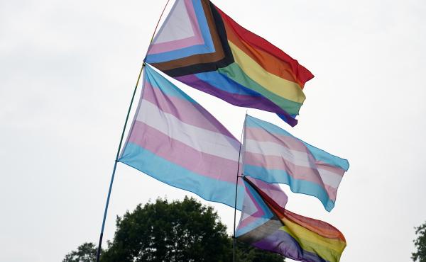 LGBTQ flags fly in London's Hyde Park on July 24, 2021. LGBTQ flags fly in London's Hyde Park on July 24, 2021.