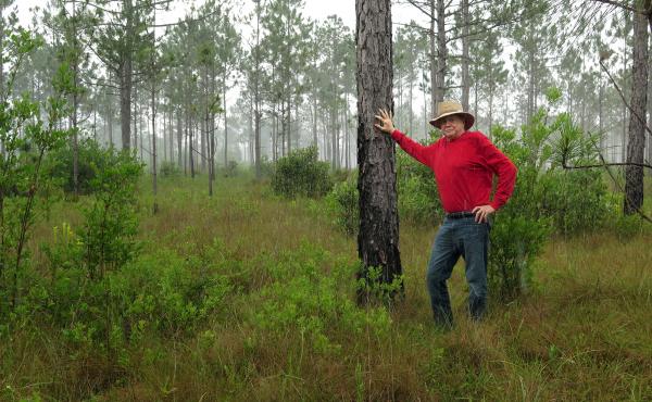 M.C. Davis, former gambler and businessman, stands in his 54,000-acre preserve, Nokuse Plantation, in the Florida Panhandle. It's the largest privately owned conservation area in the southeastern United States. M.C. Davis, former gambler and businessman, stands in his 54,000-acre preserve, Nokuse Plantation, in the Florida Panhandle. It's the largest privately owned conservation area in the southeastern United States.