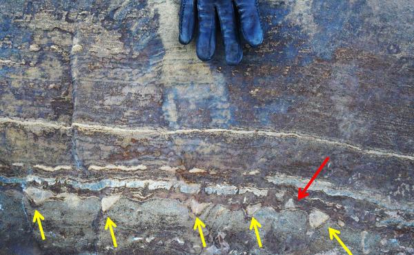 A new analysis of what were initially thought to be microbial fossils in Greenland suggests they might instead just be mineral structures created when ancient tectonic forces squeezed stone. While most of the structures point in one direction, the red arr A new analysis of what were initially thought to be microbial fossils in Greenland suggests they might instead just be mineral structures created when ancient tectonic forces squeezed stone. While most of the structures point in one direction, the red arr