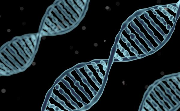 An artist's rendering of DNA. Scientists have found traces of DNA that they say is evidence that prehistoric humans procreated with an unknown hominin group in West Africa. An artist's rendering of DNA. Scientists have found traces of DNA that they say is evidence that prehistoric humans procreated with an unknown hominin group in West Africa.