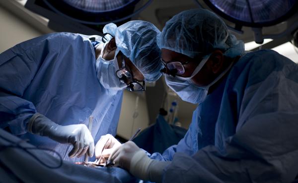 Doctors sew a kidney into a recipient patient during a kidney transplant at Johns Hopkins Hospital in 2012 in Baltimore, Md. Doctors sew a kidney into a recipient patient during a kidney transplant at Johns Hopkins Hospital in 2012 in Baltimore, Md.