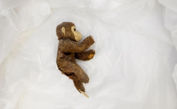 Gert Berliner's toy monkey has traveled far and wide: from Berlin to Sweden, with long periods in New York and stints in Italy and New Mexico before finally winding up in Berlin again. Gert Berliner's toy monkey has traveled far and wide: from Berlin to Sweden, with long periods in New York and stints in Italy and New Mexico before finally winding up in Berlin again.