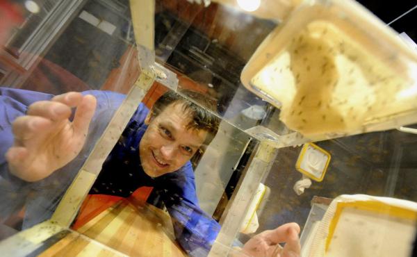 Astrophysicist Szabolcs Marka has a radical idea: Use light as a barrier between mosquitoes and humans. He was awarded a $100,000 Grand Challenge grant by the Bill and Melinda Gates Foundation to see if the idea really works. Astrophysicist Szabolcs Marka has a radical idea: Use light as a barrier between mosquitoes and humans. He was awarded a $100,000 Grand Challenge grant by the Bill and Melinda Gates Foundation to see if the idea really works.