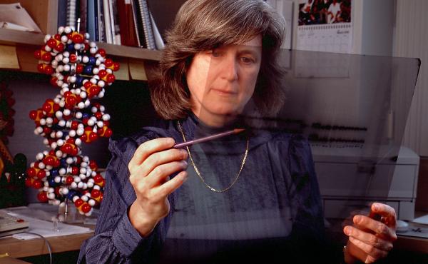 Mary-Claire King says obscurity gave her the freedom to spend years looking for breast cancer genes. Mary-Claire King says obscurity gave her the freedom to spend years looking for breast cancer genes.