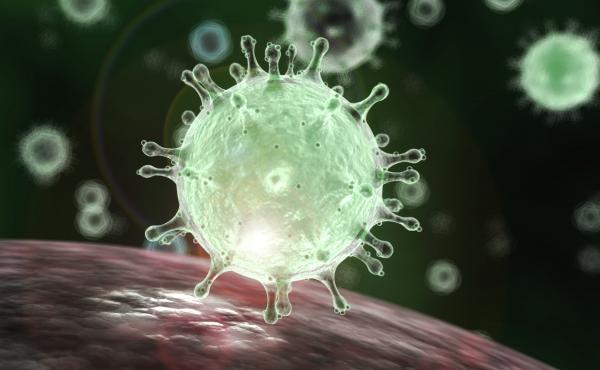 A visualization of the SARS virus. It is a type of coronavirus and displays the coronavirus' signature crownlike appearance under a microscope. A visualization of the SARS virus. It is a type of coronavirus and displays the coronavirus' signature crownlike appearance under a microscope.