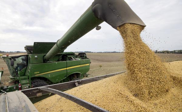 U.S. farmers have suffered a one-two punch of bad weather, which makes it hard to grow crops, and tariffs, which make it hard to sell what they grow. U.S. farmers have suffered a one-two punch of bad weather, which makes it hard to grow crops, and tariffs, which make it hard to sell what they grow.