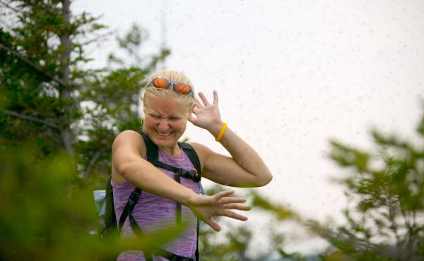 A female hiker is attacked by bugs on the Welch-Dickey trail. A female hiker is attacked by bugs on the Welch-Dickey trail.