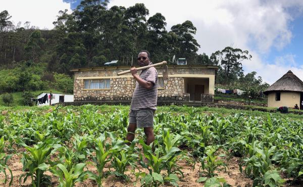 Ed Mabaya on his parents' farm in Zimbabwe. Ed Mabaya on his parents' farm in Zimbabwe.