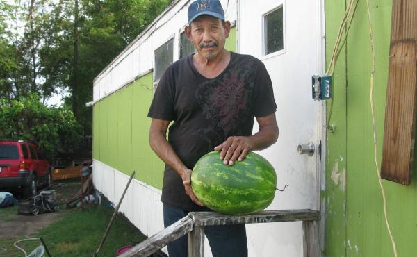Justino DeLeon, 58, stands in front of his home in Pharr, Texas. A former watermelon picker; he retired from farm work when he fell off a melon truck and hurt his arm. Justino DeLeon, 58, stands in front of his home in Pharr, Texas. A former watermelon picker; he retired from farm work when he fell off a melon truck and hurt his arm.