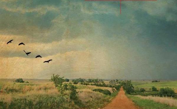 Stolen: Five Free Boys Kidnapped into Slavery and Their Astonishing Odyssey Home, by Richard Bell Stolen: Five Free Boys Kidnapped into Slavery and Their Astonishing Odyssey Home, by Richard Bell