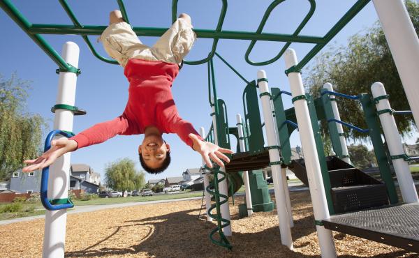 Barbara J. King considers risk on playgrounds from an evolutionary perspective. Barbara J. King considers risk on playgrounds from an evolutionary perspective.