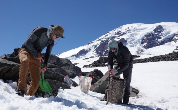 Though they're called ice worms, the creatures Hotaling (right) and his colleagues study on the glaciers of Mount Rainier can't handle the slightest bit of freezing. If temperatures dip even slightly below zero degrees Celsius (32 degrees Fahrenheit), Hot Though they're called ice worms, the creatures Hotaling (right) and his colleagues study on the glaciers of Mount Rainier can't handle the slightest bit of freezing. If temperatures dip even slightly below zero degrees Celsius (32 degrees Fahrenheit), Hot