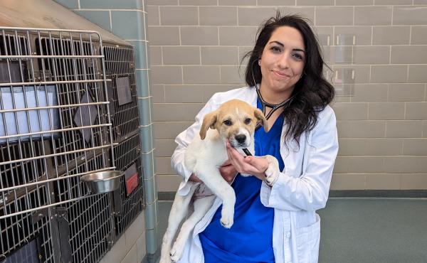 The Veterinary Mental Health Initiative, which offers free support groups and one-on-one help to vets across the country, has helped Razyeeh Mazaheri work through the anxiety she was feeling. The Veterinary Mental Health Initiative, which offers free support groups and one-on-one help to vets across the country, has helped Razyeeh Mazaheri work through the anxiety she was feeling.