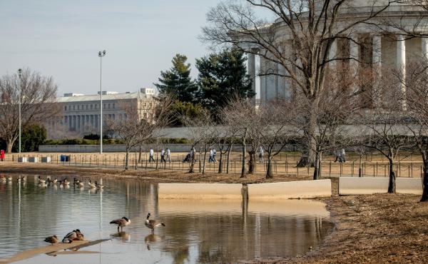 Increased car and foot traffic coupled with rising sea levels have driven parts of the Tidal Basin area underwater. Increased car and foot traffic coupled with rising sea levels have driven parts of the Tidal Basin area underwater.