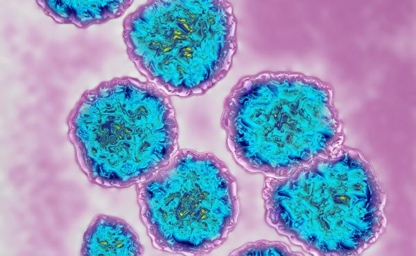 Hepatitis C virus is typically transmitted through blood, but an infected person who spits at someone can run afoul of the law in some jurisdictions. Hepatitis C virus is typically transmitted through blood, but an infected person who spits at someone can run afoul of the law in some jurisdictions.