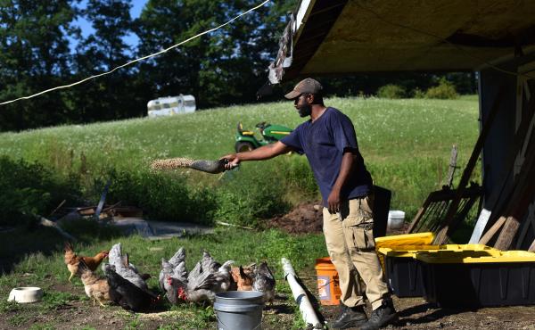 Daryl Minton, 45, throws chicken feed into a yard where the chickens roam at the Triple J Farm in Windsor, N.Y. Minton lives and works on the farm his grandfather, James Minton, bought it a decade ago. Between lending discrimination and rising costs, many Daryl Minton, 45, throws chicken feed into a yard where the chickens roam at the Triple J Farm in Windsor, N.Y. Minton lives and works on the farm his grandfather, James Minton, bought it a decade ago. Between lending discrimination and rising costs, many
