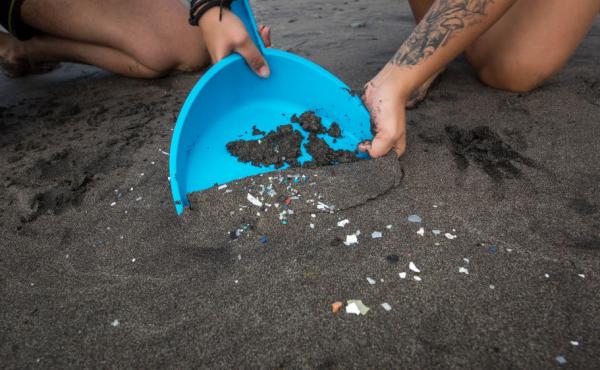 Microplastics are not just showing up on beaches like this one in the Canary Islands. They are showing up in human waste. Microplastics are not just showing up on beaches like this one in the Canary Islands. They are showing up in human waste.