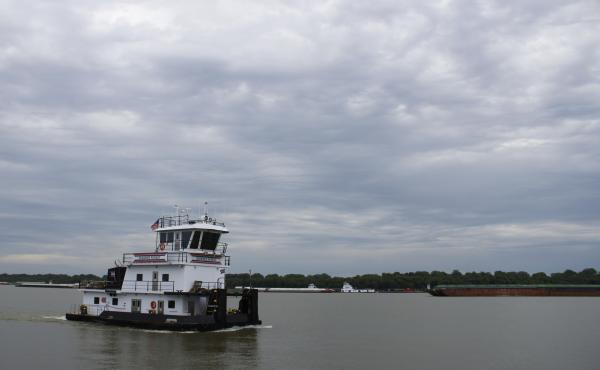 The Shawnee Forest towboat steers down the Ohio River near American Commercial Barge Line's office outside Cairo, Ill. As of June 12, more than 600 barges were waiting to go upstream once water levels dropped.. The Shawnee Forest towboat steers down the Ohio River near American Commercial Barge Line's office outside Cairo, Ill. As of June 12, more than 600 barges were waiting to go upstream once water levels dropped..