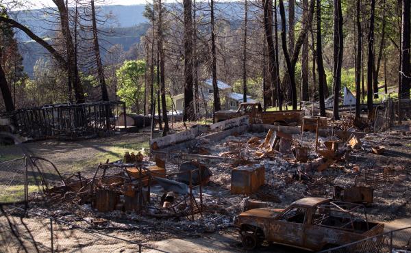 A burned-out property sits next to a home that's still standing near Paradise six months after the Camp Fire. The fire was the deadliest and most destructive wildfire in California history. A burned-out property sits next to a home that's still standing near Paradise six months after the Camp Fire. The fire was the deadliest and most destructive wildfire in California history.