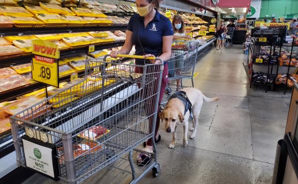 Danyelle Clark-Gutierrez and her service dog, Lisa, shop for food at a grocery store. Clark-Gutierrez got the yellow Labrador retriever to help her cope with post-traumatic stress disorder after she experienced military sexual trauma while serving in the Danyelle Clark-Gutierrez and her service dog, Lisa, shop for food at a grocery store. Clark-Gutierrez got the yellow Labrador retriever to help her cope with post-traumatic stress disorder after she experienced military sexual trauma while serving in the