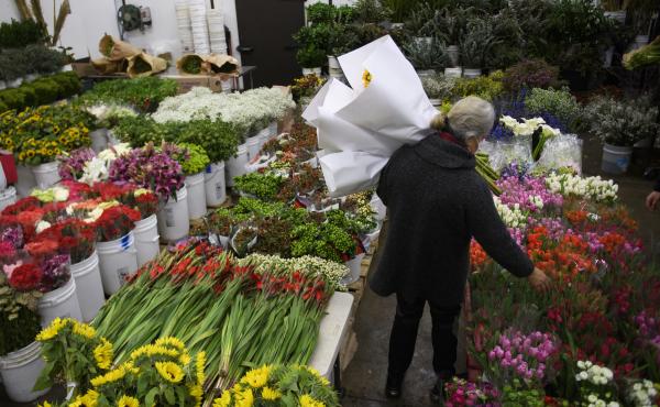 A buyer shops for flowers at the Southern California Flower Market on Feb. 12, 2021, in Los Angeles. A buyer shops for flowers at the Southern California Flower Market on Feb. 12, 2021, in Los Angeles.