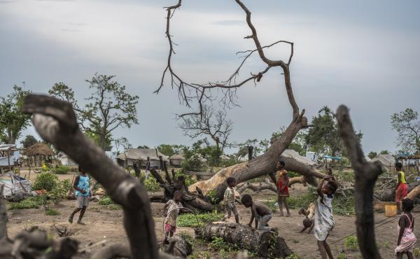 Children play around trees downed by Cyclone Idai at the Guara Guara resettlement site in Mozambique, where thousands of people are still living more than nine months after the storm. Children play around trees downed by Cyclone Idai at the Guara Guara resettlement site in Mozambique, where thousands of people are still living more than nine months after the storm.