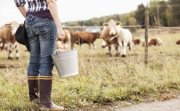 Someday, we might be able to customize the microbes we feed cows to help reduce their methane emissions. Someday, we might be able to customize the microbes we feed cows to help reduce their methane emissions.