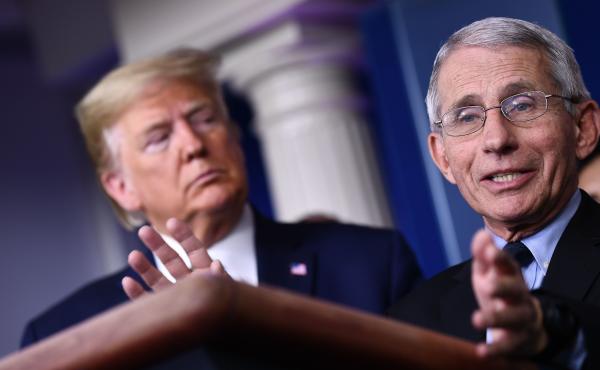 Dr. Anthony Fauci, a member of President Trump's coronavirus task force, directs the National Institute of Allergy and Infectious Diseases, which had convened the panel of experts. Dr. Anthony Fauci, a member of President Trump's coronavirus task force, directs the National Institute of Allergy and Infectious Diseases, which had convened the panel of experts.
