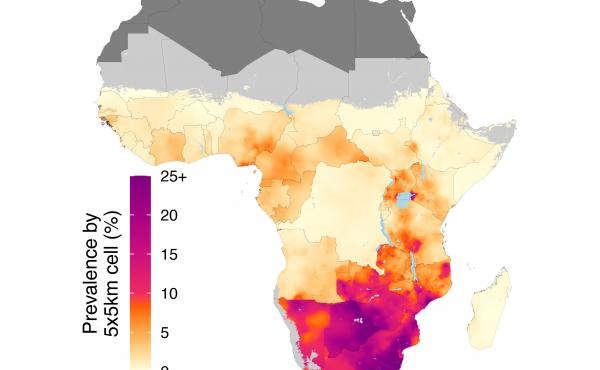 Map showing concentrated HIV prevalence in southern Africa Map showing concentrated HIV prevalence in southern Africa