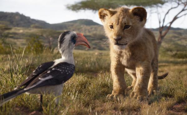 A sophisticated mix of digital imagery and virtual-reality techniques give Disney's Lion King remake the feel of a live-action film. The result plays like a Hollywood blockbuster disguised as a National Geographic documentary. A sophisticated mix of digital imagery and virtual-reality techniques give Disney's Lion King remake the feel of a live-action film. The result plays like a Hollywood blockbuster disguised as a National Geographic documentary.