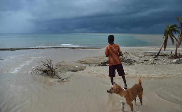 A child and a dog run along a beach in Haiti, from where health workers appear to have contracted a new coronavirus. Around the world, in Malaysia, a similar coronavirus has been found — apparently being passed to humans from dogs. A child and a dog run along a beach in Haiti, from where health workers appear to have contracted a new coronavirus. Around the world, in Malaysia, a similar coronavirus has been found — apparently being passed to humans from dogs.