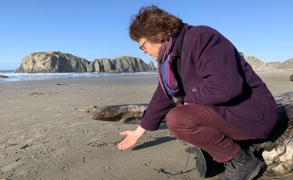 Angela Haseltine Pozzi founded Washed Ashore in 2010. The nonprofit turns plastics taken from Oregon's beaches into eye-opening sculptures of threatened marine life. Angela Haseltine Pozzi founded Washed Ashore in 2010. The nonprofit turns plastics taken from Oregon's beaches into eye-opening sculptures of threatened marine life.