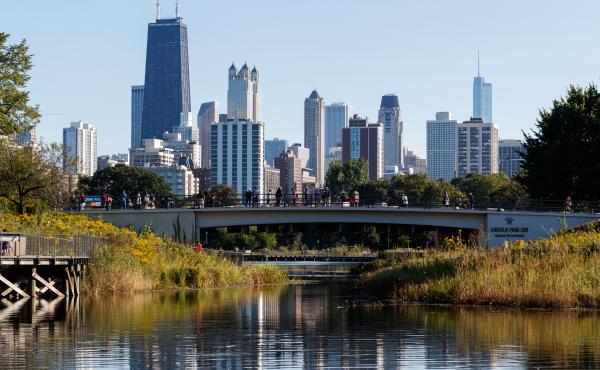 Three Chicago aldermen face criminal charges in federal court, and just since the start of 2019, nine current or former Chicago aldermen have been indicted or investigated for bribery, racketeering and tax fraud. Three Chicago aldermen face criminal charges in federal court, and just since the start of 2019, nine current or former Chicago aldermen have been indicted or investigated for bribery, racketeering and tax fraud.