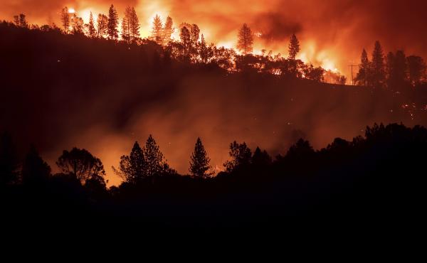 The 2018 Camp Fire killed 85 people in all and destroyed nearly 19,000 buildings. The 2018 Camp Fire killed 85 people in all and destroyed nearly 19,000 buildings.