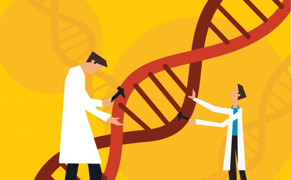Scientists have edited out defective genes in a human embryo. Scientists have edited out defective genes in a human embryo.