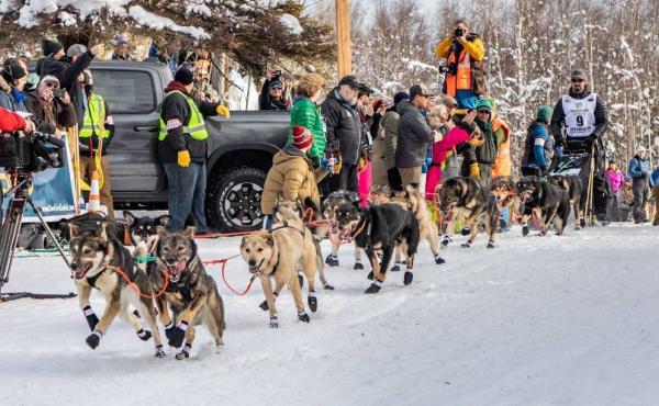 Peter Kaiser and his team of dogs take off at the start of the Iditarod race. Peter Kaiser and his team of dogs take off at the start of the Iditarod race.