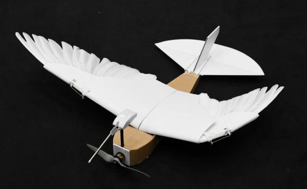 A team of Stanford University researchers designed the PigeonBot. A team of Stanford University researchers designed the PigeonBot.