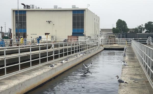 The wastewater facility in San Jose, Calif., processes sewage from about 1.4 million people and 22,000 businesses. The facility is part of a network of communities testing their wastewater for the omicron variant of the coronavirus. The wastewater facility in San Jose, Calif., processes sewage from about 1.4 million people and 22,000 businesses. The facility is part of a network of communities testing their wastewater for the omicron variant of the coronavirus.