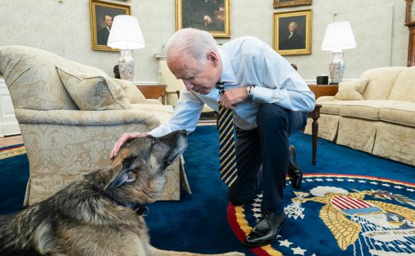 President Biden pets Biden family dog Champ in the Oval Office in February. On Saturday, Joe and Jill Biden announced that Champ had died. President Biden pets Biden family dog Champ in the Oval Office in February. On Saturday, Joe and Jill Biden announced that Champ had died.