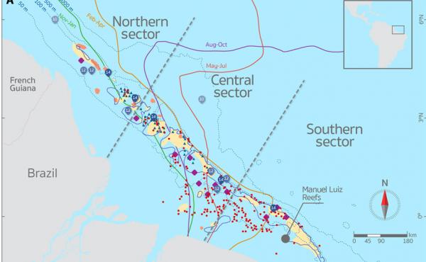 A map of the Amazon shelf showing the newly discovered reef structures in yellow. A map of the Amazon shelf showing the newly discovered reef structures in yellow.