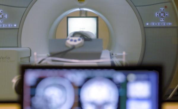 Scientists have analyzed a huge number of brain scans to learn more about how the brain develops, from infancy all the way until the end of life. Scientists have analyzed a huge number of brain scans to learn more about how the brain develops, from infancy all the way until the end of life.