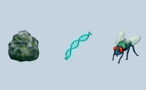 The scientific community has lots of feelings about emoji representation. Geologists are excited about the new rock emoji, for example, but reviews are mixed when it comes to the fly. The scientific community has lots of feelings about emoji representation. Geologists are excited about the new rock emoji, for example, but reviews are mixed when it comes to the fly.