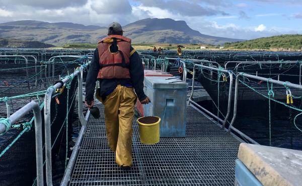 A worker heads out to hand-feed fish at a Scottish salmon farm, a method that is unusual among fish farms. A worker heads out to hand-feed fish at a Scottish salmon farm, a method that is unusual among fish farms.