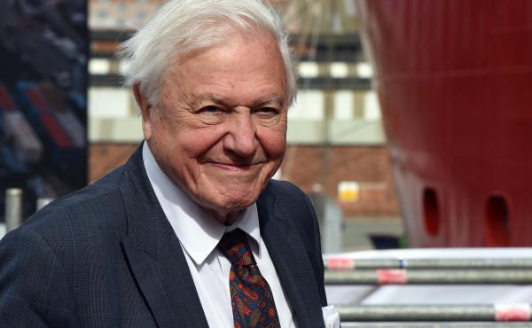 Sir David Attenborough, shown here during a ceremony last September, broke the world record on Thursday for the fastest time to reach one million followers on Instagram. Sir David Attenborough, shown here during a ceremony last September, broke the world record on Thursday for the fastest time to reach one million followers on Instagram.