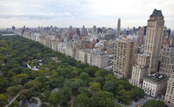 The Bronx may be up and the Battery down, but Central Park is where an amazing wealth of different sorts of microbes play. The Bronx may be up and the Battery down, but Central Park is where an amazing wealth of different sorts of microbes play.